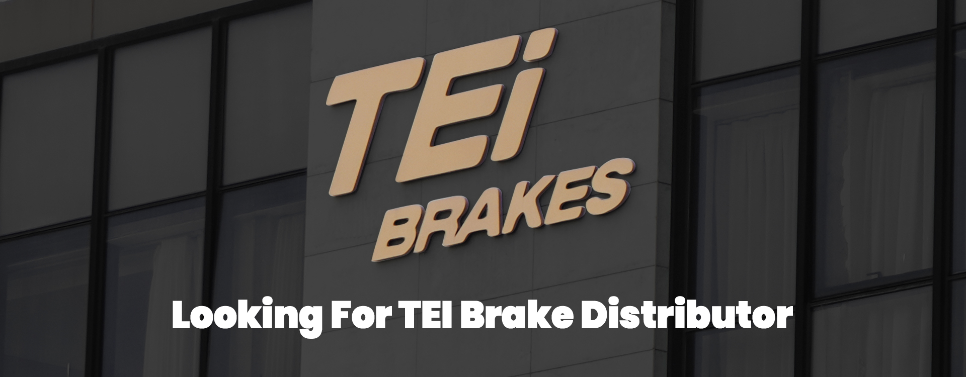 Quality TEI Racing Big Brake Kit factory